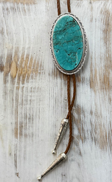 Turquoise and Brown Bolo Necklace