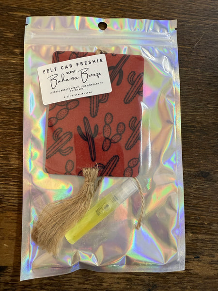 Rust Cactus Car Freshener