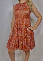 Horseshoe Dress