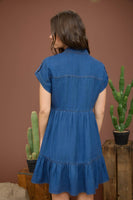 Chambray Button Down Shirt Dress